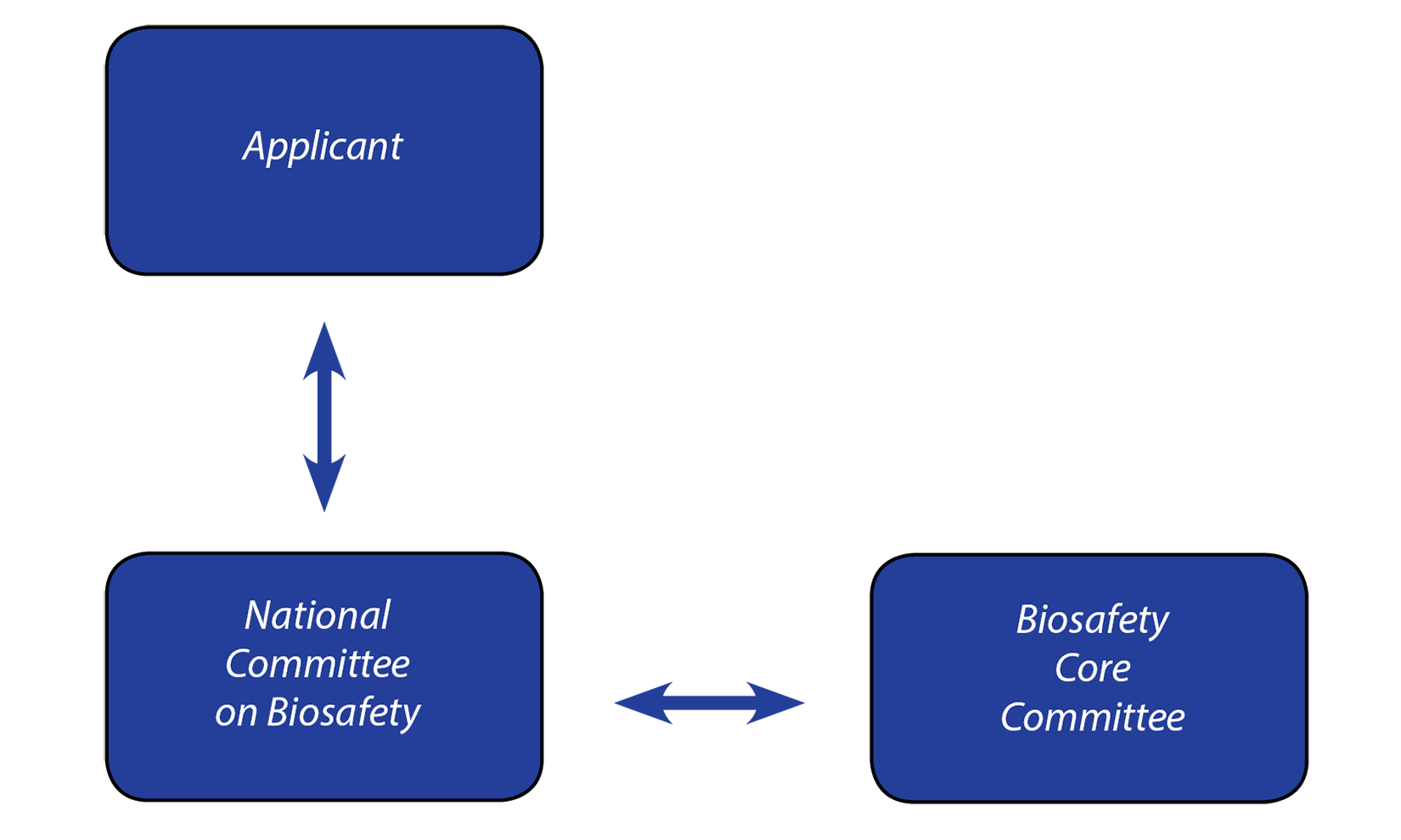 II. The Regulatory Process of Importation of LMOs Applications in Bangladesh