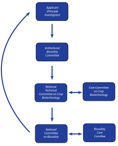 III. The Regulatory Process of Cultivation Approvals in Bangladesh