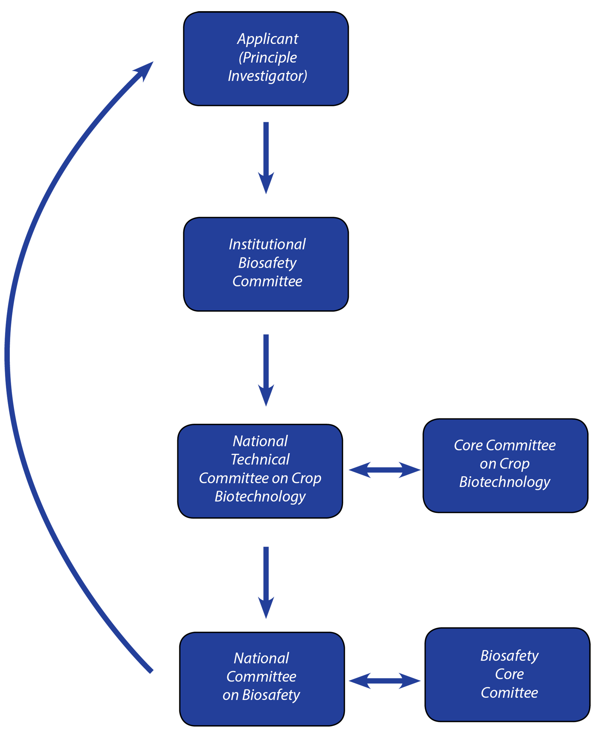 III. The Regulatory Process of Cultivation Approvals in Bangladesh