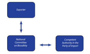 IV. The Regulatory Process of AIA when Bangladesh is the Country of Origin-Export